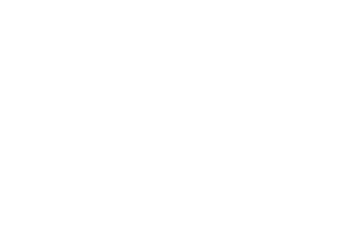 Meati partner - FABI logo
